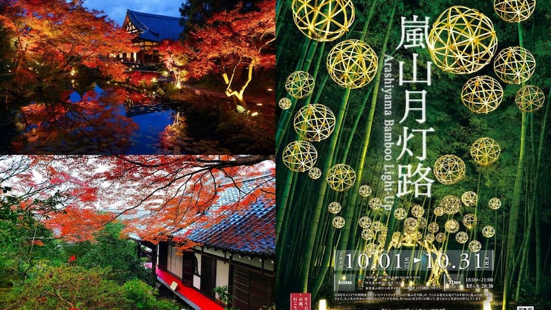 今こそ京都へ！ イベントから特別拝観まで秋の絶景トピックス3選