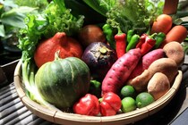 【京都】「亀岡牛」や京野菜がズラリ！ 秋の食の祭典「亀岡アグリフェスタ2025」が開催