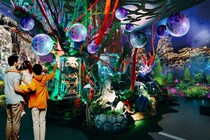 【ひらパー】音楽やデジタル技術による没入型アクアリウム「プラネットアクア・ポート」が誕生！