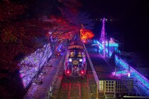 「嵯峨野トロッコ列車」が光の幻想列車に！ 車窓から沿線ライトアップ＆イルミを眺める感動体験