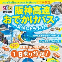 土・日・祝限定でお得！ 1日定額乗り放題の「阪神高速おでかけパス2025」を限定発売