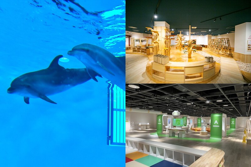 雨の日でもOK！ 親子で非日常の遊びが体験できる最新スポット