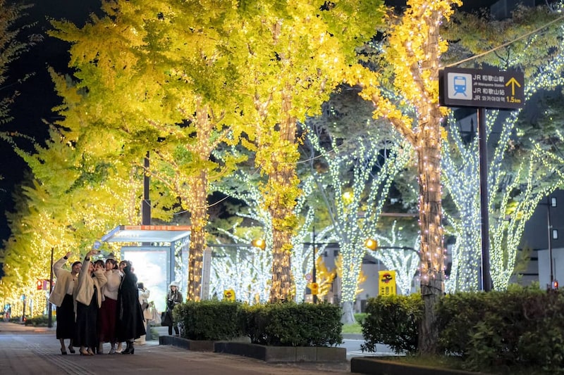 2025年の冬は、光に包まれた和歌山市へ！ 街中が輝くライトアップや大規模ドローンショーが開催