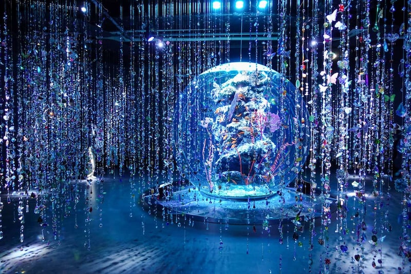 神戸の水族館が蜷川実花ワールドに！幻想すぎるアート空間「átoa」で開催中