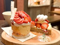 【大阪】いちごづくしのご褒美時間。予約困難だった名店の味を再び「cafe sugar ebie」【ときめきカフェ巡り #32】