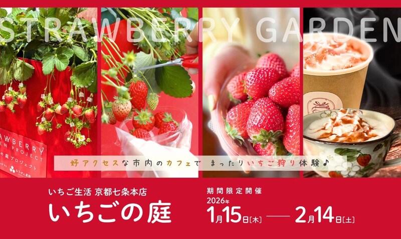 【京都】市内でいちご狩り!? 「いちご生活 京都七条本店」で体験型イベントを楽しもう