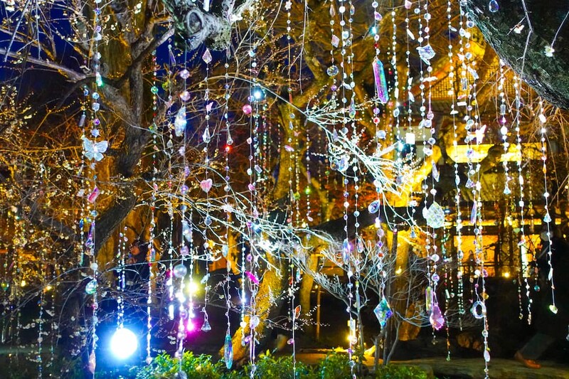 【京都】北野天満宮の梅苑が“光の庭”に変貌！蜷川実花 with EiM「KYOTO NIPPON FESTIVAL 2026」潜入レポ
