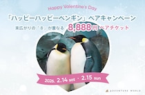 【和歌山】ペンギンから夫婦円満の秘訣が学べる!? バレンタイン限定でアドベンチャーワールドのペア入園がお得に♡