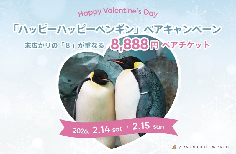 【和歌山】ペンギンから夫婦円満の秘訣が学べる!? バレンタイン限定でアドベンチャーワールドのペア入園がお得に♡