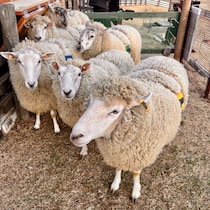 3月は寒暖差と花粉に注意！気象予報士が教える天気予報と兵庫のおでかけスポット