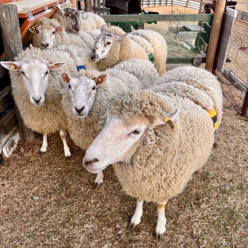 3月は寒暖差と花粉に注意!気象予報士が教える天気予報と兵庫のおでかけスポット