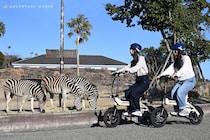 【アドベンチャーワールド】パンダがいなくても楽しい！ 五感で満喫する8つの体験が新登場！