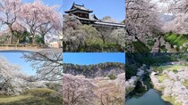 【2026】奈良の隠れた桜名所6選！ 幻の鉄道跡から古墳を彩る桜まで、地元編集部おすすめスポット