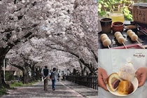 【奈良】わざわざ行く価値アリ！ 春の大和高田をお花見散歩