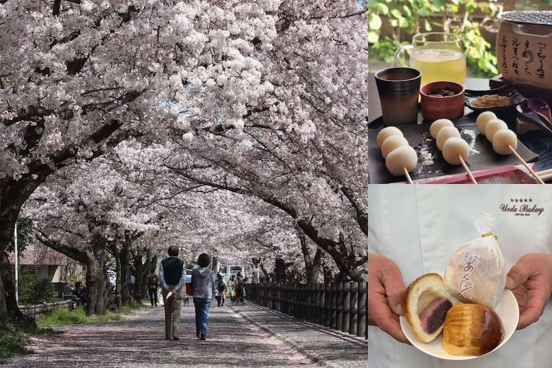【奈良】わざわざ行く価値アリ! 春の大和高田をお花見散歩