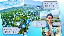 【2026年GW天気予報】後半は夏日に注意!? 蓬莱さんが教える絶景スポットも