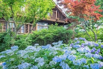 【大阪・舞洲】約100種のあじさいと出会う、初夏のガーデンへおでかけ！