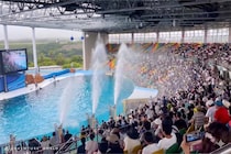 昼はワイルドに、夜はアクティブに！ 「アドベンチャーワールド」の夏イベントは涼しくておもしろい！