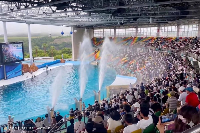昼はワイルドに、夜はアクティブに！ 「アドベンチャーワールド」の夏イベントは涼しくておもしろい！