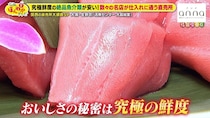 【大阪】冷凍しない究極の鮮度！高級本マグロやトラフグが破格で手に入る「活魚センター 大昌総業」