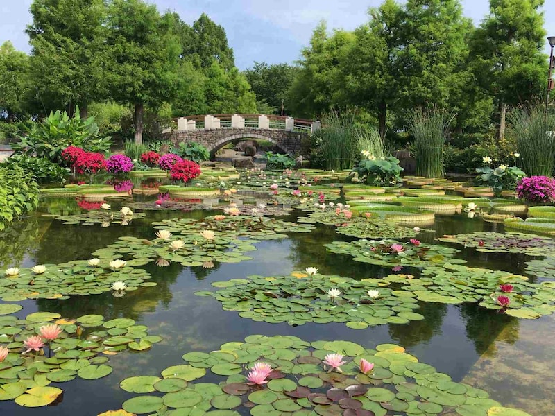 【滋賀】ゆるキャラと記念撮影も! 「草津市立水生植物公園みずの森」で開園30周年記念祭を開催