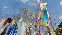 【奈良】七夕発祥の地は葛城市にあり!? 棚機神社と道の駅グルメを巡る初夏ドライブ