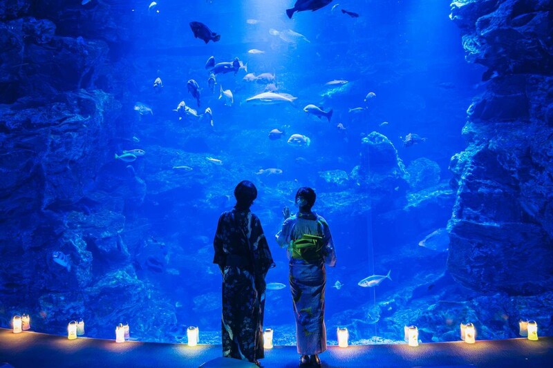 【京都水族館】夜8時まで延長！ 幻想的な「夜のすいぞくかん」で非日常を素敵に過ごす♡