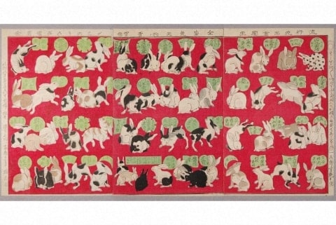 朝ドラ「ばけばけ」で衝撃、明治日本を揺るがせた「ウサギ税」と投機バブルの真相