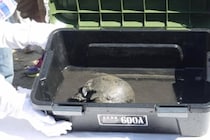 海底で見つかった「戦争の記憶」、沈めたままでいいのか　長生炭鉱遺骨調査の現場で見えたもの