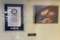 「たかが1件、されど1件」市川市、ギネス認定の花火写真“1人のクレーム”で撤去 批判100件超にも対応変えず