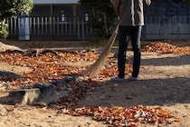 隣家の落ち葉で庭が埋まる…「掃除をしてくれ」と求めることはできるのか？