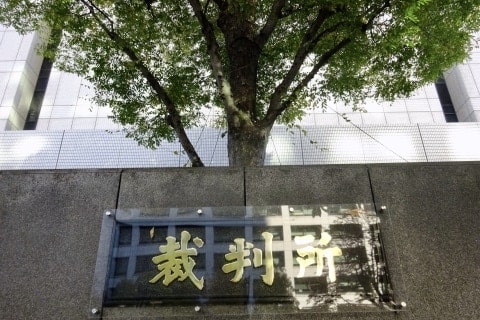 前科8犯の被告人に実刑 通勤電車で痴漢、所持品には性玩具「故意ではない」主張は退けられる