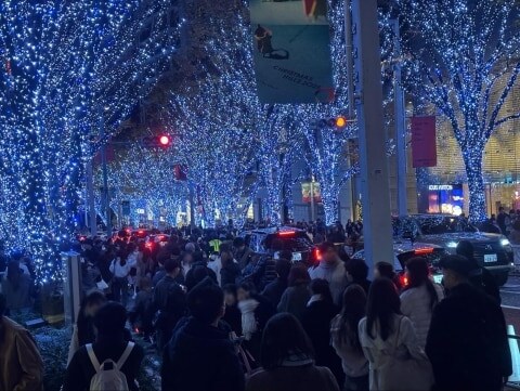 六本木けやき坂、危険すぎる撮影行列…法的問題は? 赤信号の横断歩道で立ち止まる人も