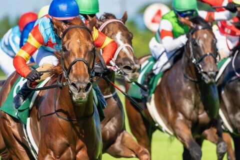 馬運車にぶつかったら「人生が終わる」ネットの噂は本当か?競走馬の賠償額と対物無制限の限界