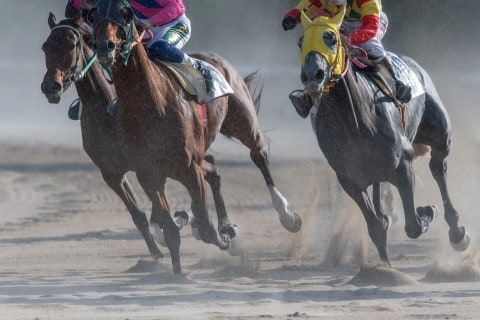 ウマ娘人気で注目、“名馬の名前”はどこまで使ってOK? 午年に改めて整理する法的ルール