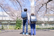 「ナイトスクープ」が物議、「ヤングケアラー」と「お手伝い」の違いは？ 　困った子どもの相談先は