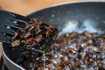 「ミスのペナルティだ」部下に“虫入り鍋”食べさせた疑いで役員逮捕、職場でこんな要求されたらどうする？