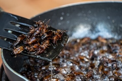 「ミスのペナルティだ」部下に“虫入り鍋”食べさせた疑いで役員逮捕、職場でこんな要求されたらどうする？