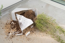 洗濯物が飛んで隣の植木鉢を破壊、火のついたタバコで穴…ベランダのトラブルで賠償責任は？