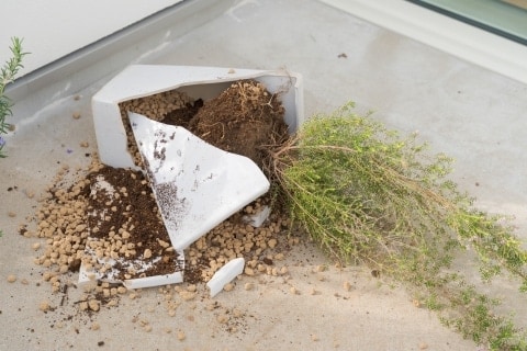 洗濯物が飛んで隣の植木鉢を破壊、火のついたタバコで穴…ベランダのトラブルで賠償責任は？