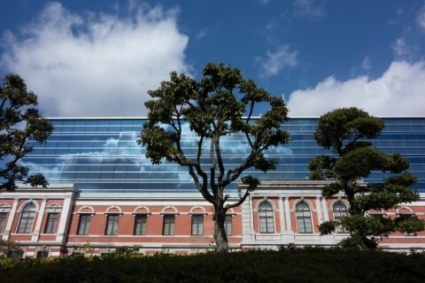 「朝から泣きやがって」障害者施設の利用者の顔面に“膝落とし”、片目失明させた元職員に有罪判決