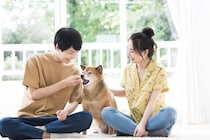 「犬を返せ！」別居中の妻が職場に現れトラブル、夫「俺のほうが世話していた」ペットは夫婦どちらのもの？