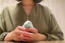 「障がいが重いほど入れない」放課後デイの矛盾…2年かけて空き探す母「就職氷河期を思い出した」