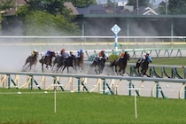 「毎日競馬をやればいい」はなぜ簡単じゃない？　JRA猛暑対策で浮上した開催日数のルール