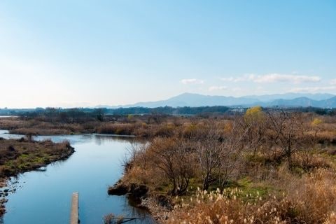 女子高生殺害の疑いで「19歳」逮捕 「少年法でも厳罰、実名報道ありうる」弁護士が解説