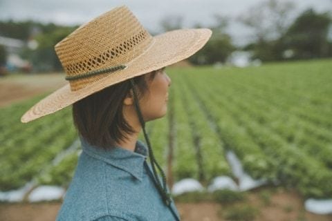 「司法書士代がもったいない」実家の農地、名義は祖父のまま…知らないと怖い「相続未登記」のリスク