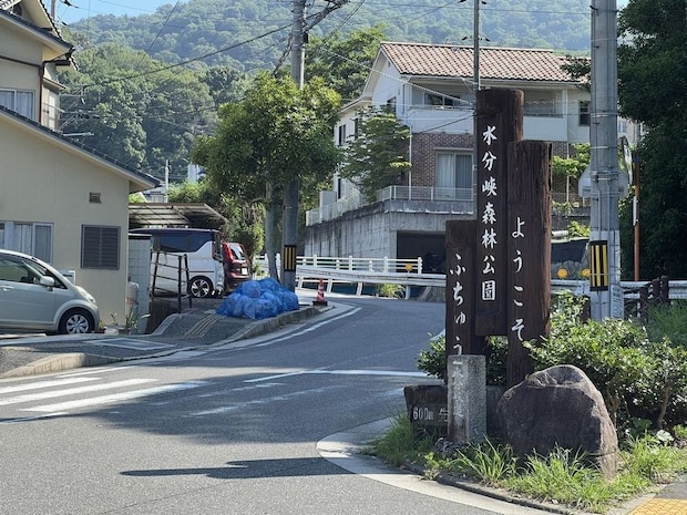 画像タイトル
