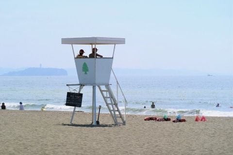 BBQ中の学生も高波にさらわれ死亡「乾いた砂浜なら安全」ではない…静岡大が伝え続ける水難事故の教訓