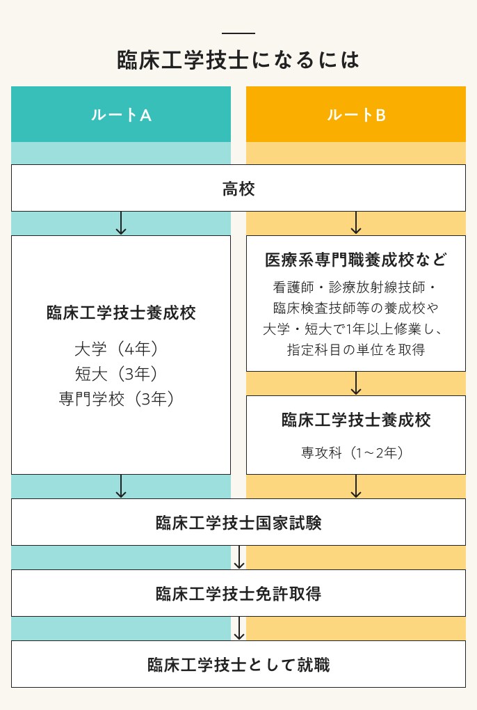 臨床工学技士になるには