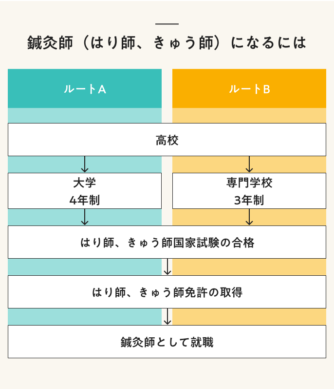 鍼灸師(はり師、きゅう師)になるには
